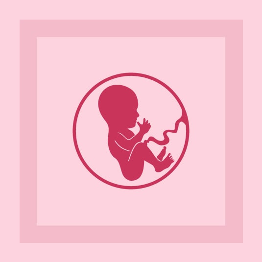 Fertility Support Supplements