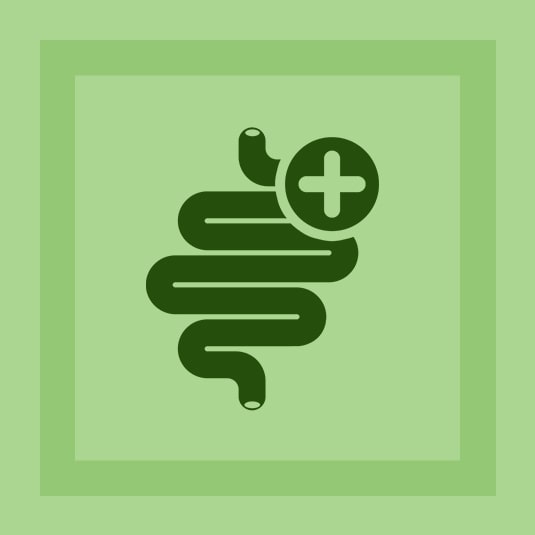 Gut Health Supplements