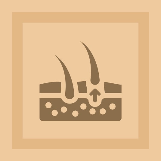 Hair Growth Supplements