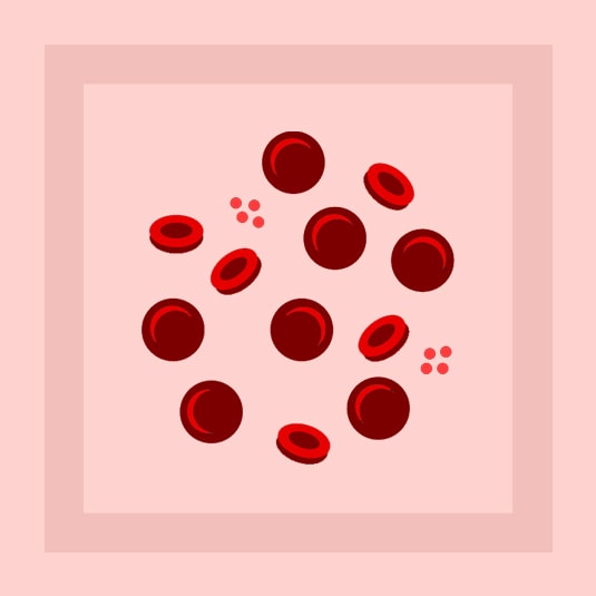 Platelet Boost Supplements