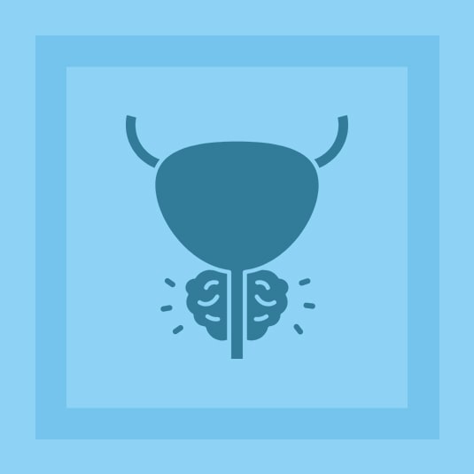 Prostate Supplements