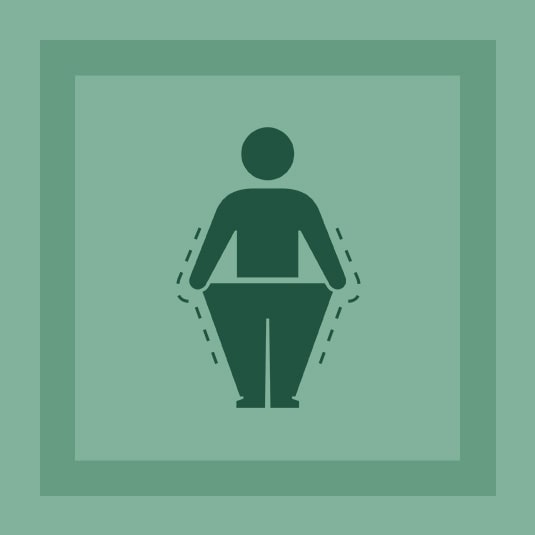 Weight Loss Supplements